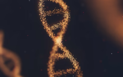 Can Cerebral Palsy Be Inherited? | Genetics and Family Risk