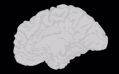 Cerebral Palsy in Simple Terms: A Guide for Newly Diagnosed Families